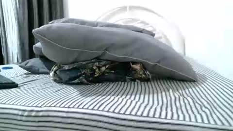 iam_mistress_dominatrix online show from 04.18.26