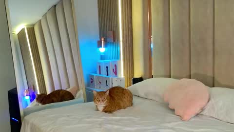 Nyxy online show from 11.11.25