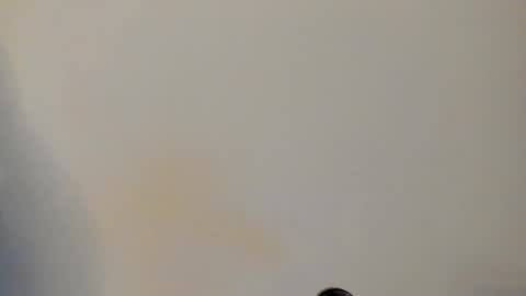 IAN CASTILLO online show from 02.24.26