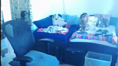 PMS online show from 02.24.25