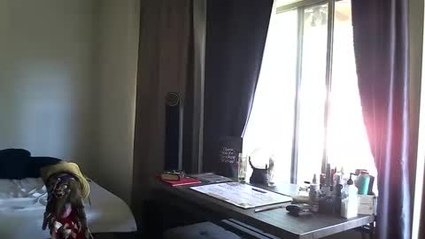 PMS online show from 10.13.25