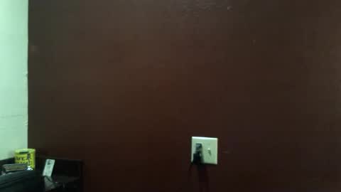 PMS online show from 11.01.25