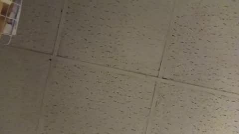 Snapshot of igcognito647033 chatting on 02.20.26 igcognito647033 online show from 02.20.26