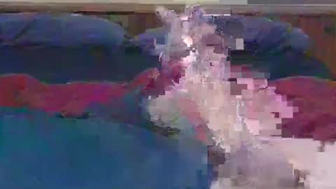 ihavebigballs00 online show from 12.17.24