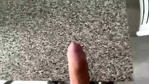 ilconte81 online show from 03.10.26