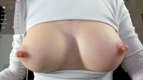 illegal_lorry online show from 01.12.25