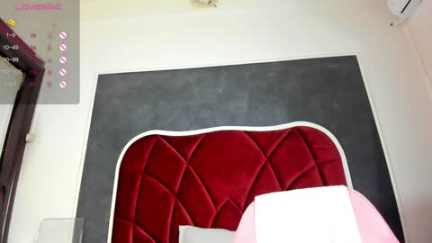 illegal_lorry online show from 01.16.25