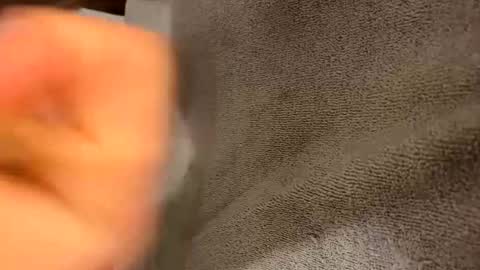 iltjoal69 online show from 03.05.25