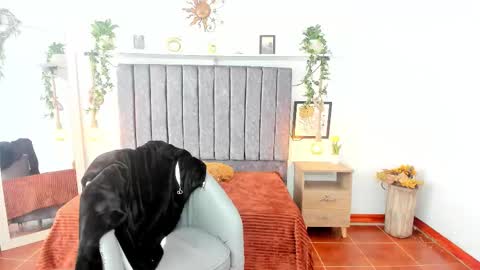 Snapshot of im_tulipan chatting on 02.25.26 im_tulipan online show from 02.25.26