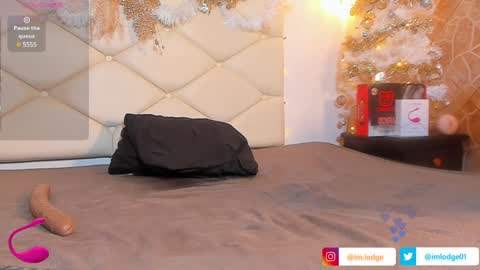 Snapshot of imlodge chatting on 12.12.24 Camilo Lodge online show from 12.12.24