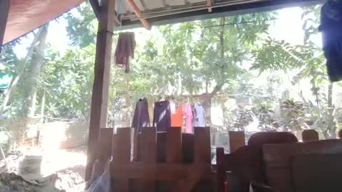 Snapshot of immaculate02 chatting on 02.01.25 Immaculate02 online show from 02.01.25