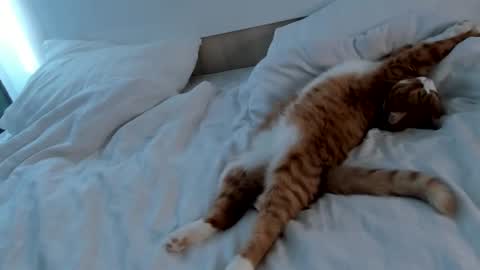 my name Imo  Fansly  online show from 02.20.25