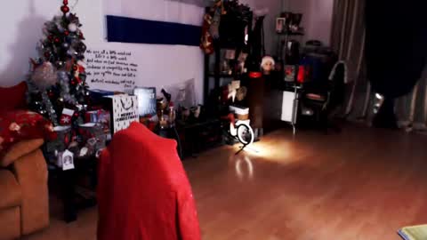 Empress online show from 12.21.24