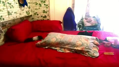 indian_blaze00 online show from 02.04.25