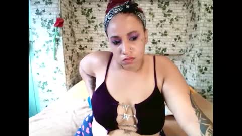 Candy cat online show from 02.22.25