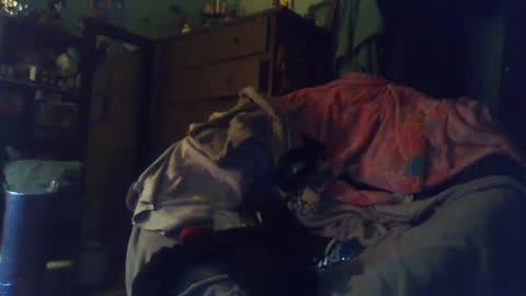 indigo_scorpio online show from 02.24.25