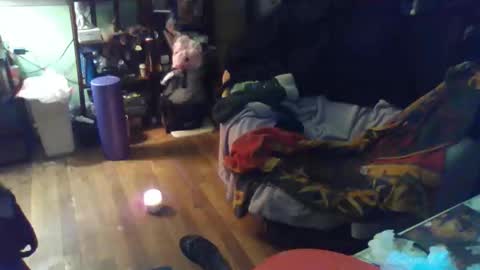 indigo_scorpio online show from 02.11.26