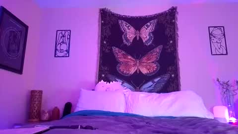 Indigo Bay online show from 01.19.26