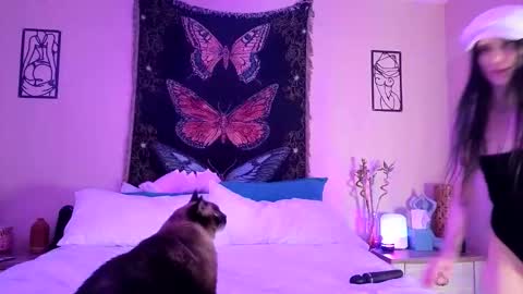 Snapshot of indigobay chatting on 02.03.26 Indigo Bay online show from 02.03.26