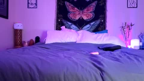 Snapshot of indigobay chatting on 02.14.26 Indigo Bay online show from 02.14.26