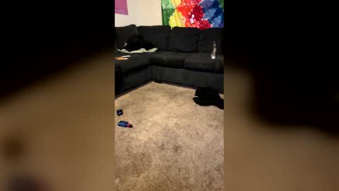 InfamousLibby  Linktree  online show from 02.08.26