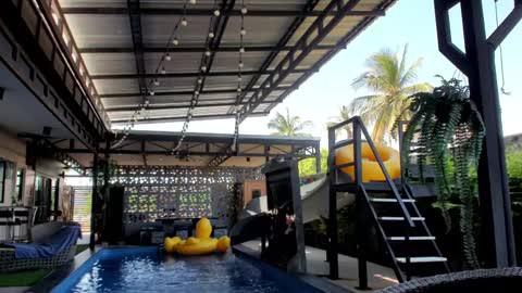 Vicki FANSLY ---   online show from 01.06.25