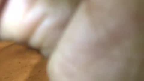 Snapshot of internationalgodfather chatting on 01.27.25 InternationalGodFather online show from 01.27.25