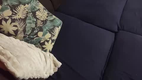 Snapshot of intersidereal chatting on 12.23.24 Marek online show from 12.23.24