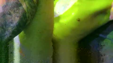 Snapshot of intersidereal chatting on 03.02.25 Marek online show from 03.02.25