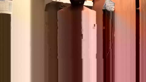 inyourmouthagain online show from 10.08.25