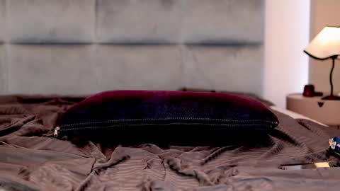 Snapshot of iris_nightingale chatting on 12.20.24 Rhaenyra online show from 12.20.24