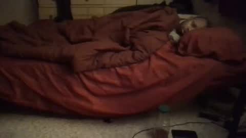 SexEngine88 online show from 02.02.26