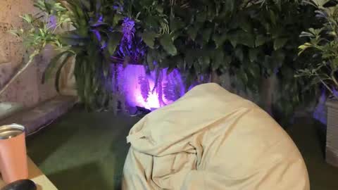 isabelastefano online show from 10.04.25