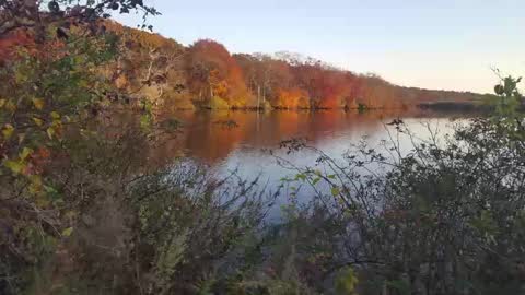 Jim online show from 02.23.25