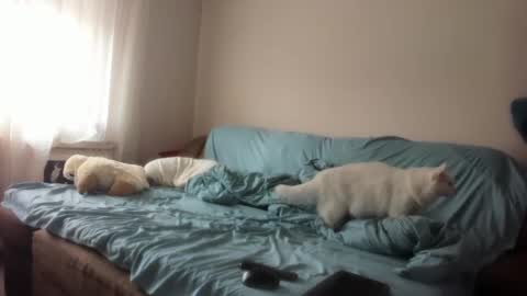 Issabelle online show from 03.04.25