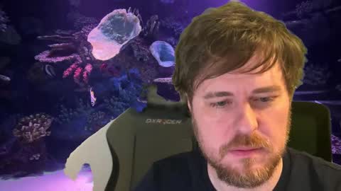 pain online show from 12.04.25