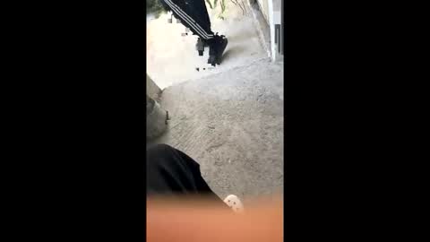 itsjayyourbae online show from 02.18.26