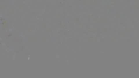 Snapshot of itsnyladior777 chatting on 06.06.26 ItsNyladior online show from 06.06.26