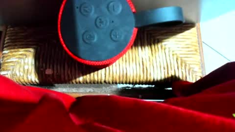 ivanaskats online show from 12.17.24