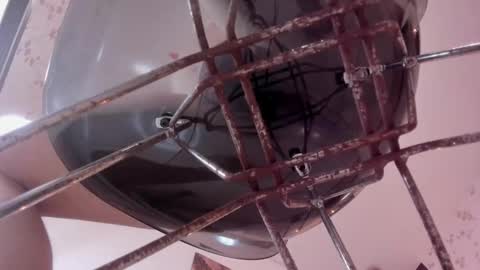 Snapshot of ivannarosse chatting on 02.13.26 Dylan online show from 02.13.26