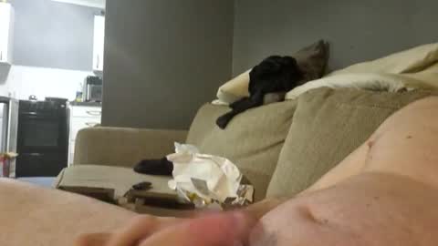 Big 8 online show from 01.17.25