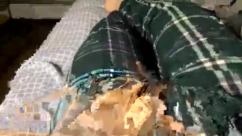 Snapshot of jaaltar chatting on 12.03.25 Jaaltar online show from 12.03.25