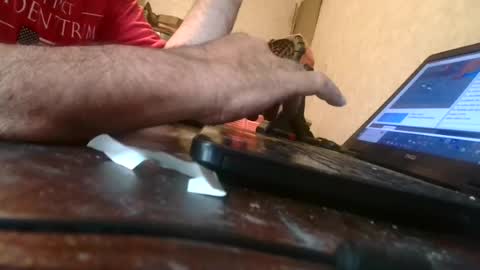 Snapshot of jackgow chatting on 07.18.26 jackgow online show from 07.18.26