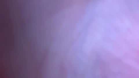 jackjackerman online show from 04.08.26