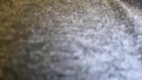 jackjackerman online show from 04.15.26