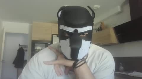 Snapshot of jackstoun_puppy chatting on 03.03.25 ENygma online show from 03.03.25