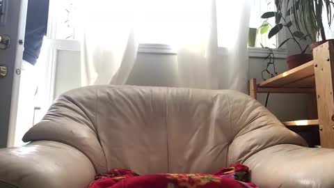 Jacob online show from 02.14.26