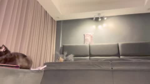 jacolandia online show from 02.23.25