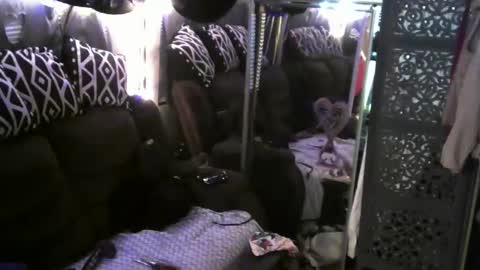 Jamie Rose Queenschild ever... online show from 02.09.25