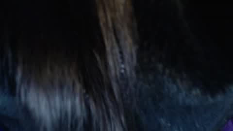 Snapshot of jalea_real_69 chatting on 07.19.26 jalea_real_69 online show from 07.19.26